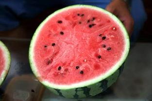 吃瓜网红微密圈,吃瓜群众眼中的微密圈风云