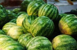 hby5吃瓜网,揭秘娱乐圈最新热点，带你畅游八卦海洋